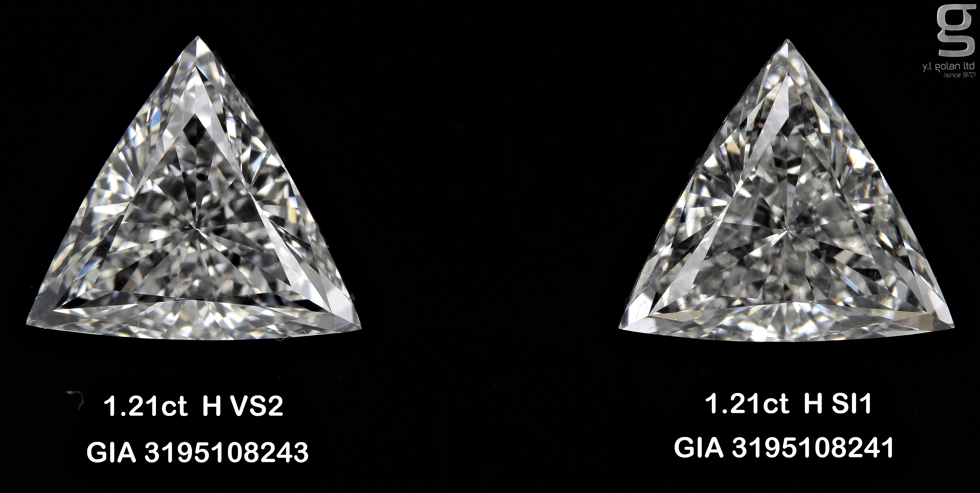 1.2CT paired triangles