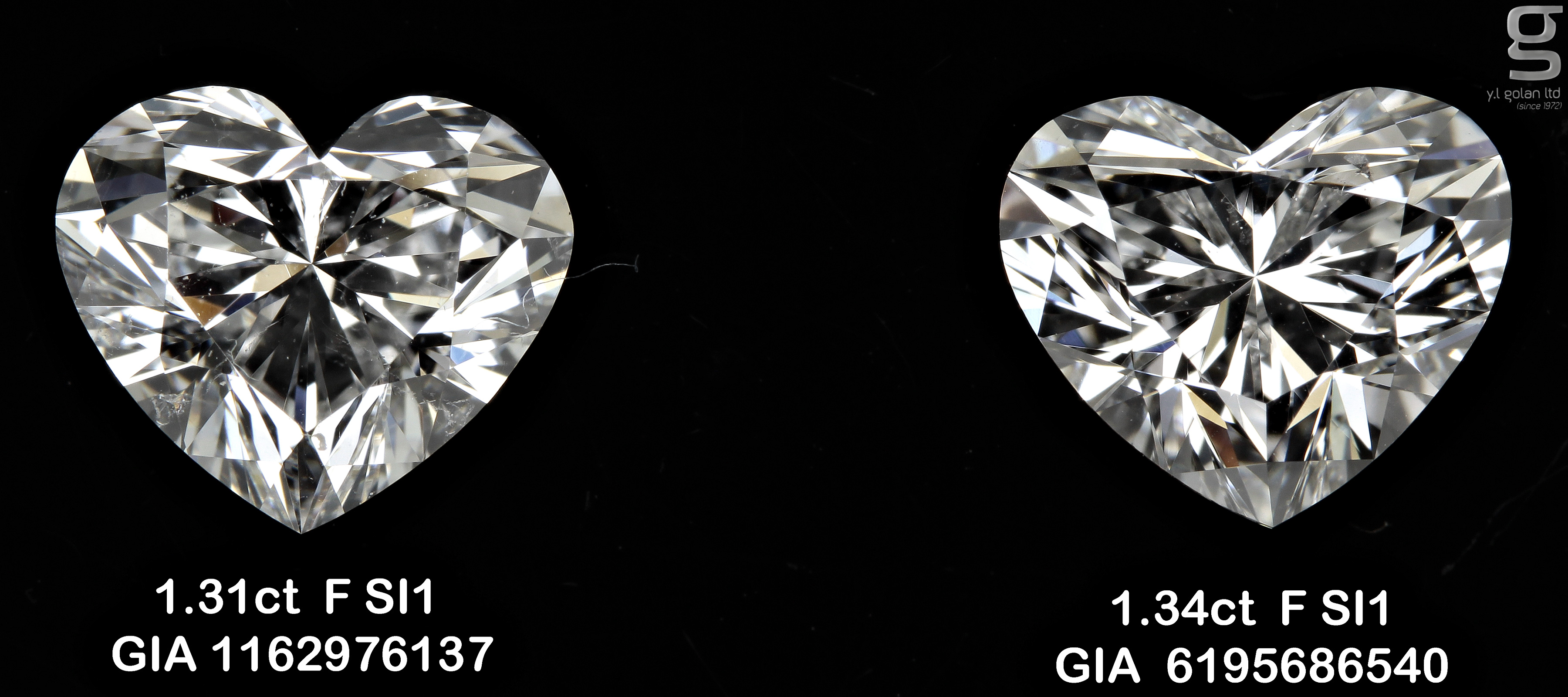 Pair of HS 1.3CT