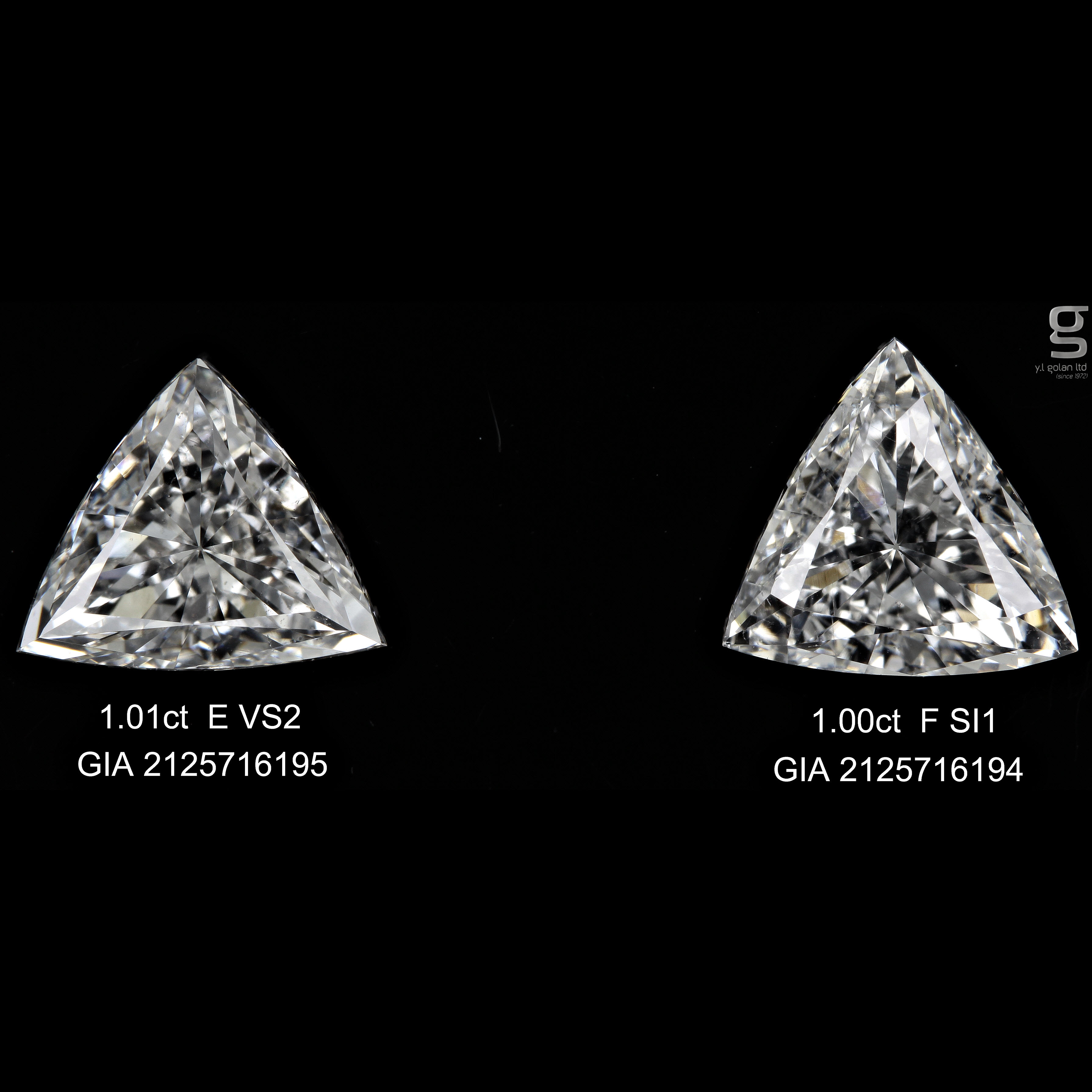 GIA Certified Tri Pair