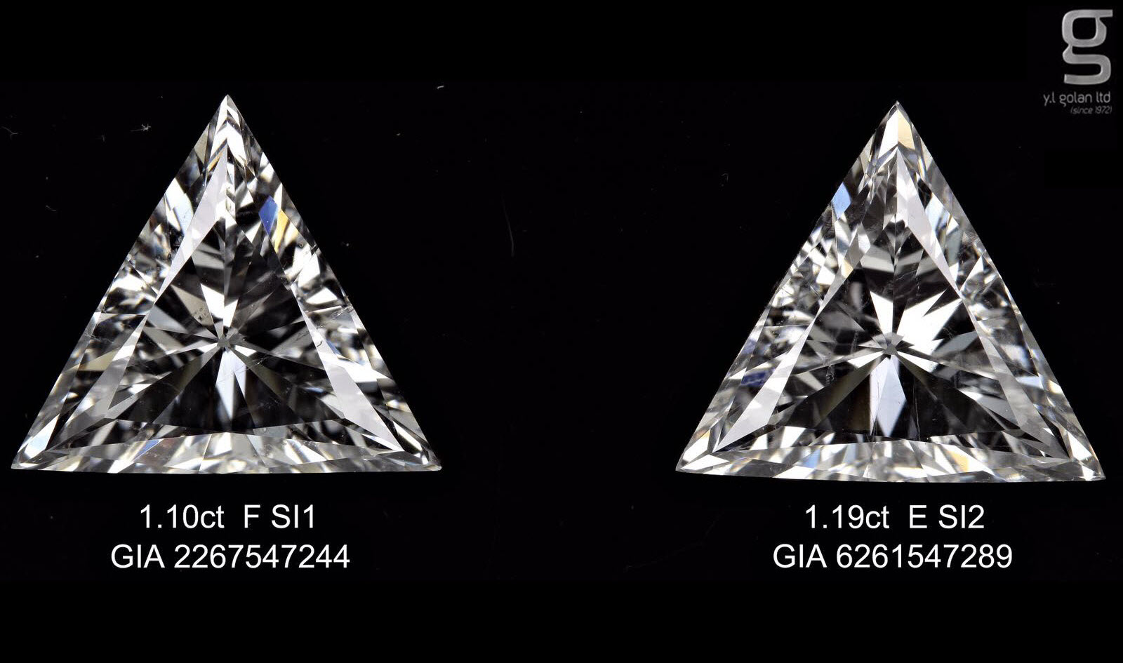GIA Triangle Lovely Pair